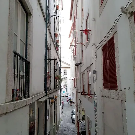 Apartamento • Downtown • Walkable • A/c